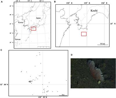 Genome-Wide SNP Data Revealed Notable Spatial Genetic Structure in the Deep-Sea Precious Coral Corallium japonicum